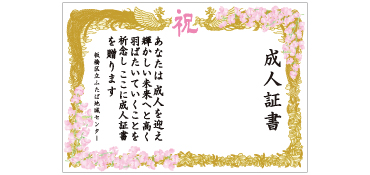 成人証書幕 タイプA 横幅3m×高さH2m 成人証書幕は成人式や二十歳の集いの際、記念撮影の背景として最適です