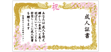 成人証書幕 タイプA  横幅W3.5m×高さ2m 成人証書幕は成人式や二十歳の集いの際、記念撮影の背景として最適です